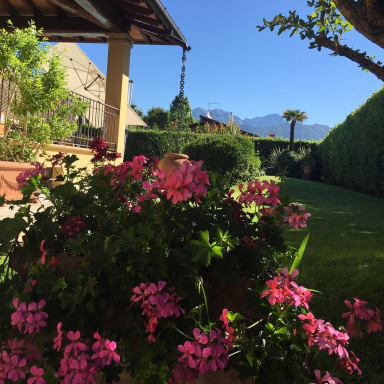 Relais Di Alice- Adults Only Bed & Breakfast ฟอร์เต เดย์ มาร์มี ภายนอก รูปภาพ